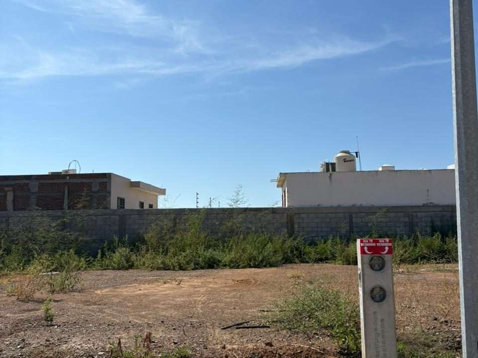 WhatsApp Image 2025-10-30 at 1.40.37 PM (4)