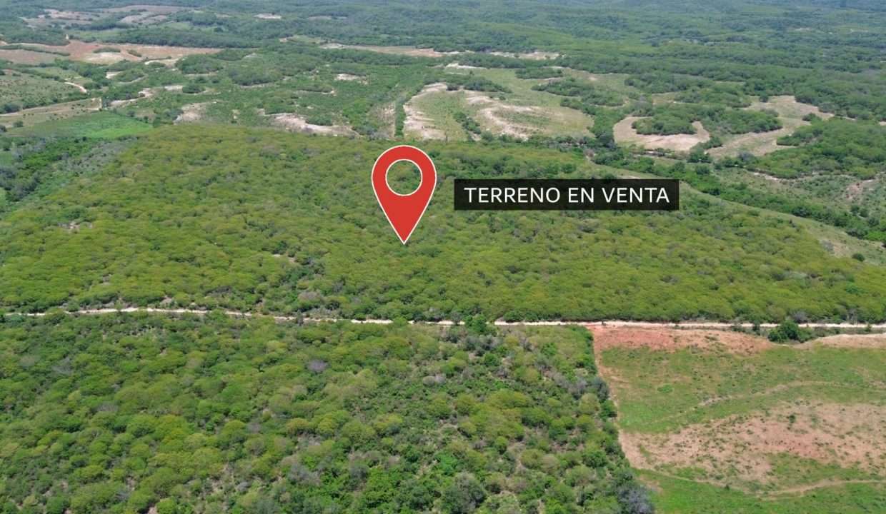 WhatsApp Image 2025-11-29 at 12.37.06 PM