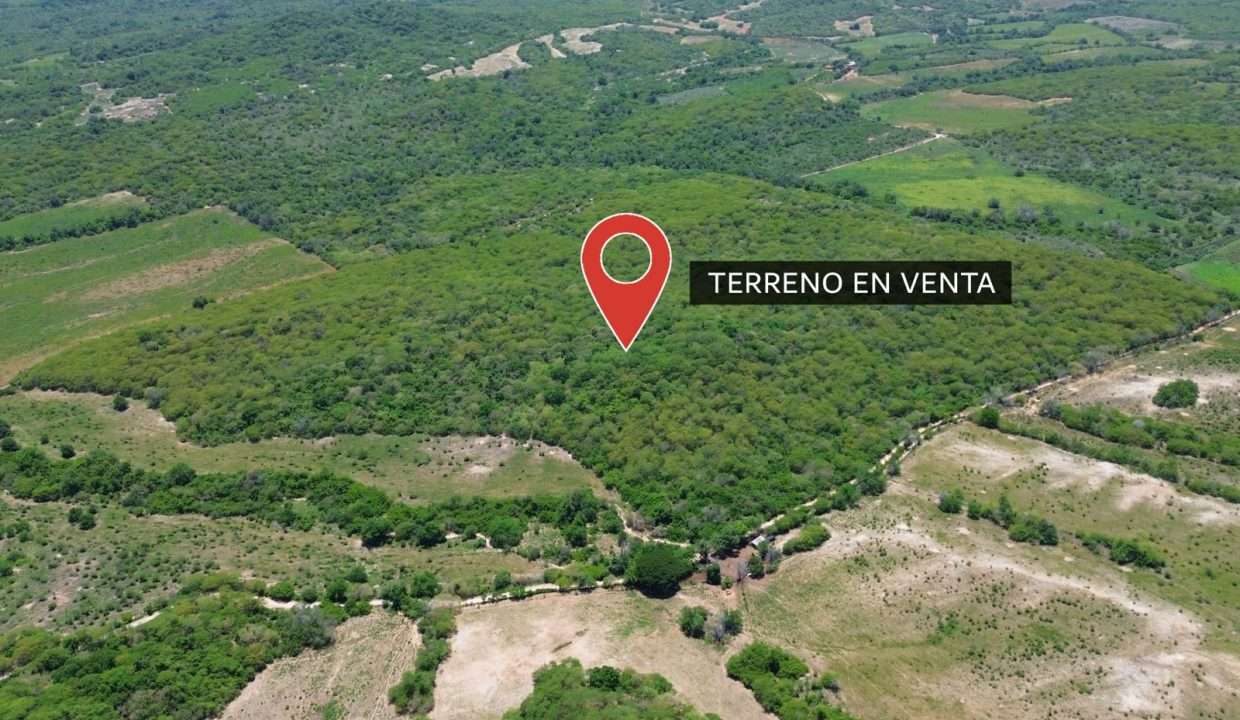 WhatsApp Image 2025-11-29 at 12.37.06 PM (2)